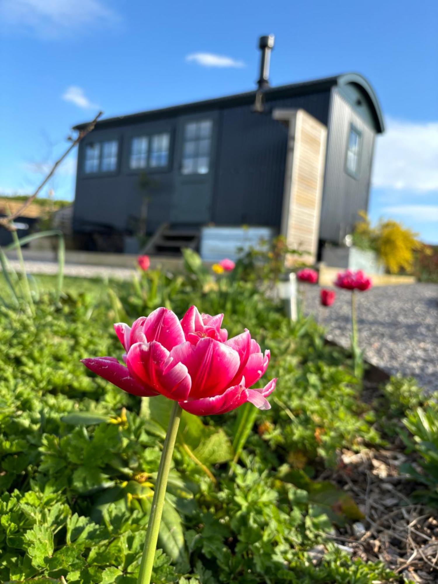 The Winford Retreat Villa Eksteriør billede